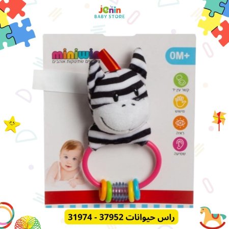 حمار وحشي